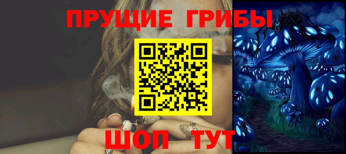 Коркино  купить закладку  Вход с VPN  Галлюциногенные грибы мухоморы 